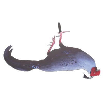 HANABASS Chicken Garden Decorative Stake