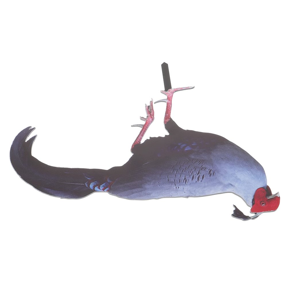 HANABASS Chicken Garden Decorative Stake