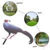 HANABASS Chicken Garden Decorative Stake view 4