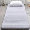 Generic Japanese Futon Mattress, Foldable Tatami Mat view 1
