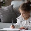 VILLCASE 48 American Flag Pencils for Independence Day view 3