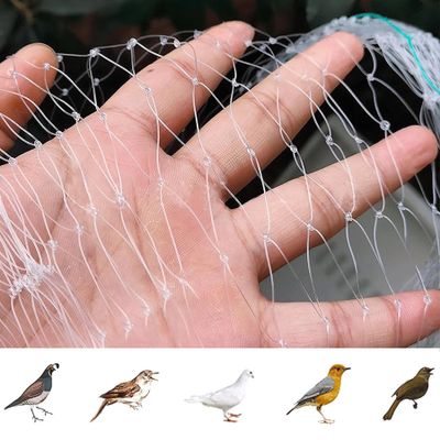 Fine-Mesh Bird Protection Net for Garden, Fruit Trees, Plants and Ponds, Translucent, 5 m x 5 m