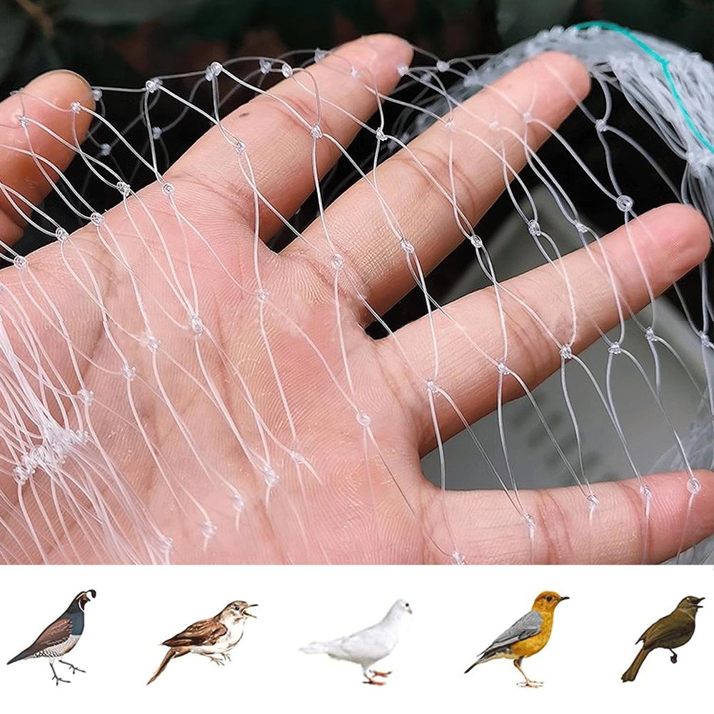 Fine-Mesh Bird Protection Net for Garden, Fruit Trees, Plants and Ponds, Translucent, 5 m x 5 m