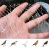 Fine-Mesh Bird Protection Net for Garden, Fruit Trees, Plants and Ponds, Translucent, 5 m x 5 m view 1
