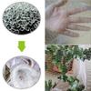 Fine-Mesh Bird Protection Net for Garden, Fruit Trees, Plants and Ponds, Translucent, 5 m x 5 m view 3