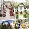 Bcojnlue Strong, Durable Metal Garden Arch, Weather-Resistant Support Arch for Climbing Plants, Vines, Lights and Flowers, White, 80 x 200 cm view 4