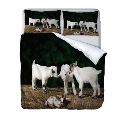 VACSAX 135 x 200 cm Microfiber Duvet Cover Set for Girls, 3D White Lamb Print, 2 Zippered Pillowcases 80 x 80 cm