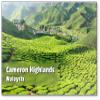 Malaysia Cameron Highlands Tea Plantation Refrigerator Magnet view 1