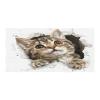 Cat Beach Towel for Women and Men, Funny Cat Design, Extra Large, for Swimming, Pool, Camping, Yoga, Fitness and Sports view 1