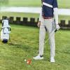 Golf Ball Picker Upper, 8 Sections, Recycled Golf Balls, Golf view 2