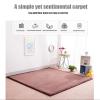Soft Coral Velvet Play Mat for Kids view 2
