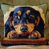 DIY Dog Latch Hook Pillow Kit, 43 x 43 cm view 1