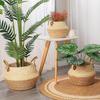 Handwoven Seagrass Plant Basket with Liner, 25 cm view 2