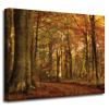 GP TONER Canvas Painting for Office and Home Decor, Pastel Style, Trees, Forest in Autumn, 50 x 40 cm view 1