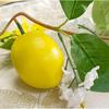 Hperu Hanging Greenery Lemon Berry Garland view 4