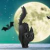Halloween Resin Figurine Decoration: Witch, Black Cat, Ghost & Pumpkin view 3