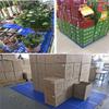 Plastic Ventilated Grid Pallet, 100 x 60 x 10 cm view 3