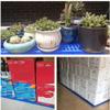 Plastic Ventilated Grid Pallet, 100 x 60 x 10 cm view 4