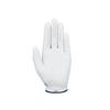 Callaway Golf Fusion Glove - USA, MLH M/L, White view 2