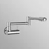 Pot Filler Kitchen Faucet, Double-Jointed Spout, Single-Handle Cold-Water Brass, Black-B/Chrome-A view 1