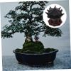 Sosoport Miniature Pavilion Garden Ornament view 3