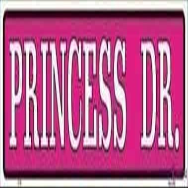 kisoyo Metal Tin Sign Princess Dr. Street Retro Vintage S 40.6 x 10.2 cm Look Home Club Bar Poster Wall Art Decoration