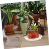 OFFSCH Transparent Plastic Plant Saucers, 8-Pack view 4