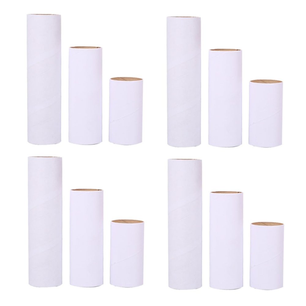 SEWACC Cardboard Tubes for Boys and Girls, 12 White Round Craft Rolls