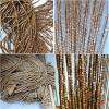 tow000ack Bamboo Beaded Curtain, Coffee, 140 x 240 cm, 140 Strands view 4