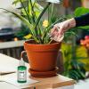 Plant Resurrection Liquid for Plants – 50 ml Plant Food for Outdoor and Soil Cultivation – Fertilizing Liquid Concentrate for Robust Growth and Flowers view 2