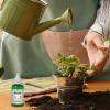Plant Resurrection Liquid for Plants – 50 ml Plant Food for Outdoor and Soil Cultivation – Fertilizing Liquid Concentrate for Robust Growth and Flowers view 3
