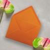 Terracotta Envelopes – 75 Pack – 110 gsm – DIN C5 view 2