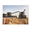 BEAYODKP Paint by Numbers Kit: Harvester and Tractor in a Wheat Field, 20 x 30 cm view 1