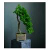 YQINQIN83B Artificial Bonsai Plant view 1