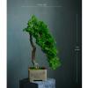 YQINQIN83B Artificial Bonsai Plant view 2