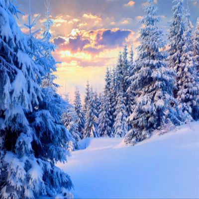 CORFOTO 10x8ft Winter Snow-Covered Mountain Landscape Photography Backdrop