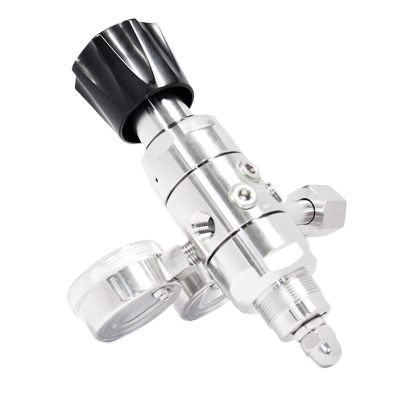 HQDRCY R31-1 Dual-Stage High-Pressure Regulator, 0.05 Accuracy, Stainless Steel