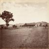 WACTWJNA Santa Margarita Ranch Canvas Print by Carleton Emmons Watkins, 60 × 90 cm view 1