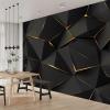 Non-Woven Photo Wallpaper, Geometric Gold Lines on Black, 400 x 280 cm view 1