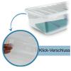#11 6-Pack Storage Boxes with Lids, 62 L, 80 x 40 x 25 cm, Transparent, Stackable view 3