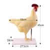 Chicken Anatomy Model for Study and Teaching view 4