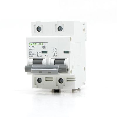 Miniature Circuit Breaker MCB SMGB1-125, 2-Pole, AC 400 V, 50/60 Hz, 35 mm DIN Rail, 1 pc (100 A)