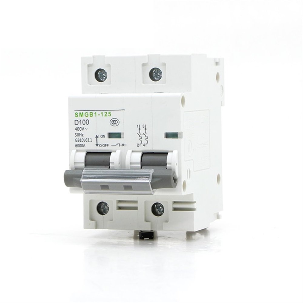 Miniature Circuit Breaker MCB SMGB1-125, 2-Pole, AC 400 V, 50/60 Hz, 35 mm DIN Rail, 1 pc (100 A)