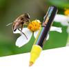 SEAFRONT Bee Marking Pen, 8 Colors, Plastic Queen Marking Pen, Marking Tool for Beekeeping (YELLOW) view 4