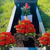 JUTTAUTO Artificial Potted Flowers, 12 Roses, Grave Decoration, Silk Flowers, 2-Piece Set view 4