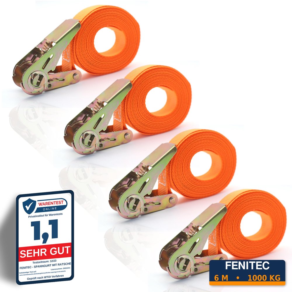 FENITEC 4-Piece Ratchet Tie-Down Strap Set, 1,000 kg, 6 m, 25 mm