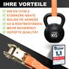 FENITEC 4-Piece Ratchet Tie-Down Strap Set, 1,000 kg, 6 m, 25 mm view 2