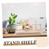 Hoement Tiered Acrylic Display Stand, Double-Tier Ladder Shelf view 3