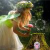 Wooden Fairy Door Garden Miniature view 2