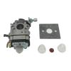 PEGGYLIN Carburetor Kit Compatible with SCEWFIX TTL530GBC 430/520, 43CC/52CC BC430/BC520 Brush Cutters view 1